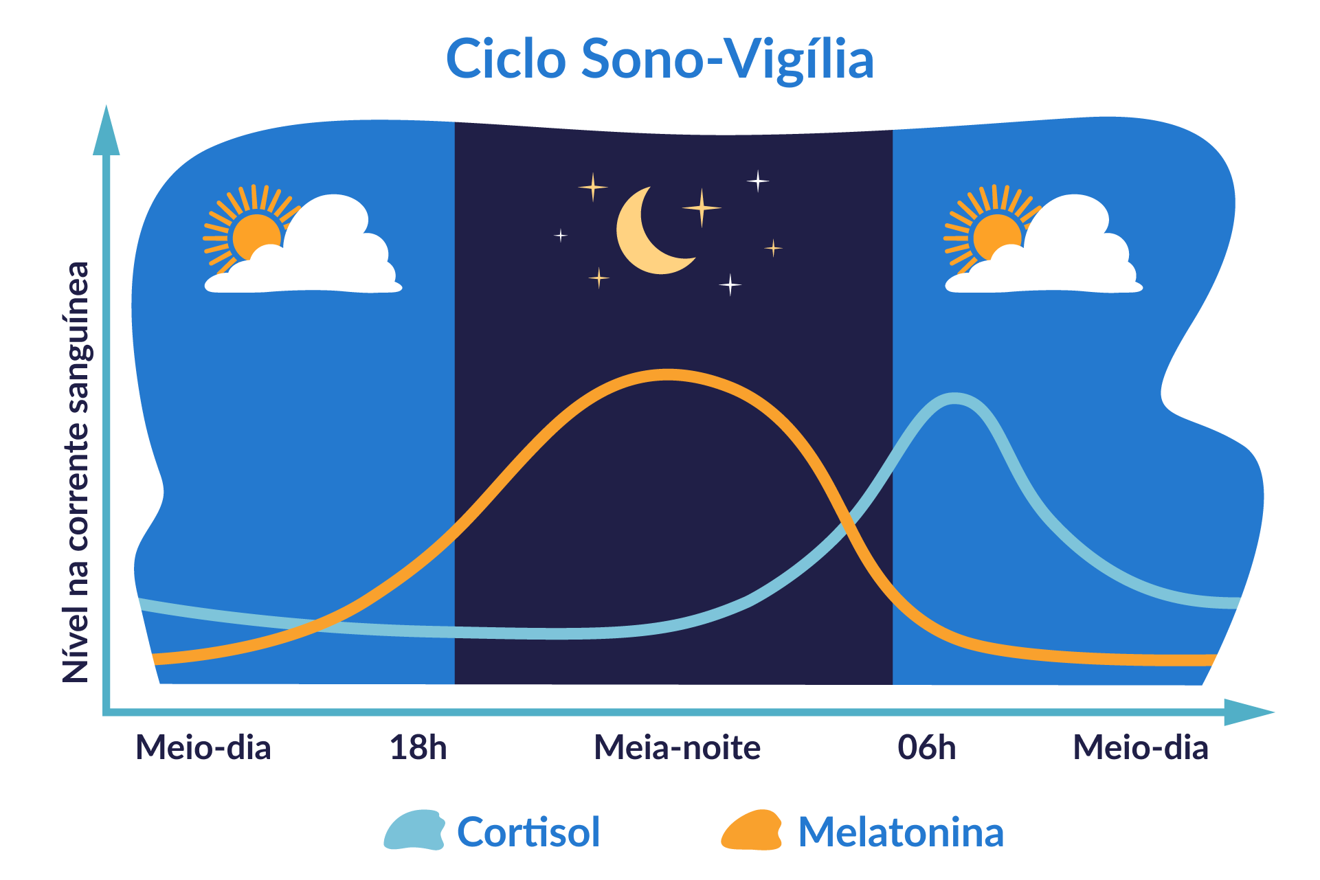 Ciclo sono-vigília em formato de gráfico, mostrando os níveis de cortisol e melatonina na corrente sanguínea ao longo do dia